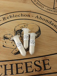 Закваска Lyofast для Паста Филаты ST 081-085, SACCO
